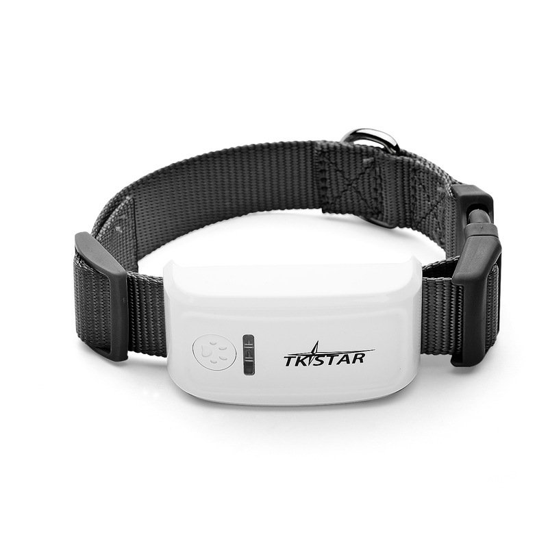 Cat GPS Tracker – 24/7 Real-Time Location & Safety