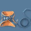 Ultimate Cat Harness & Leash Set – 4 Stylish & Secure Walks