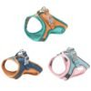 Ultimate Cat Harness & Leash Set – 4 Stylish & Secure Walks