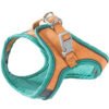 Ultimate Cat Harness & Leash Set – 4 Stylish & Secure Walks