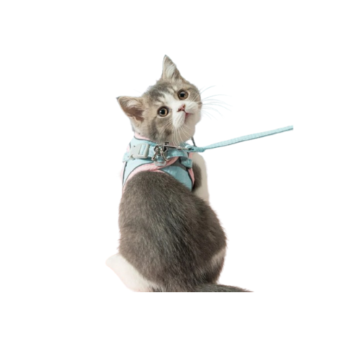 Ultimate Cat Harness & Leash Set – 4 Stylish & Secure Walks