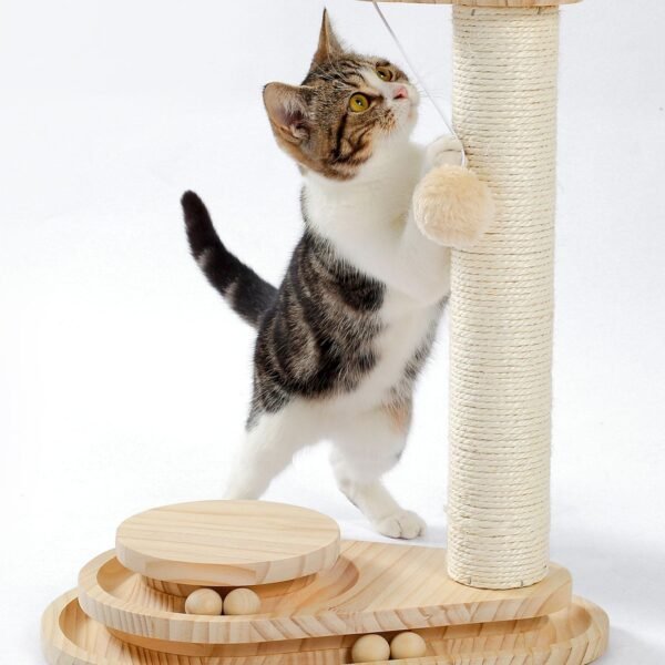 Interactive Cat Scratching Board with Ball Track & Groomer – Multi-Activity Center for Indoor Cats & Kittens
